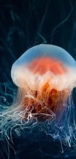 Ethereal jellyfish glowing against a deep dark blue background.