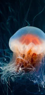 A vibrant jellyfish with flowing tentacles set against a dark blue background.