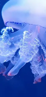 Glowing neon blue jellyfish in ocean wallpaper.