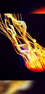 Vibrant orange jellyfish in deep ocean mobile wallpaper.