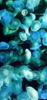 Vibrant wallpaper featuring glowing jellyfish in shades of blue and green.