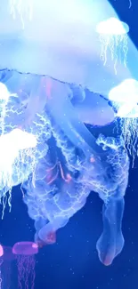 Vibrant jellyfish in a blue underwater scene, perfect for mobile wallpaper.