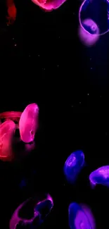 Neon jellyfish glowing in vibrant pink and purple against a dark background.