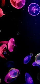 Vibrant neon jellyfish swimming in darkness