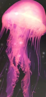 Neon pink jellyfish glowing in dark ocean background.