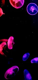 Vibrant neon jellyfish floating on a dark background for mobile wallpaper.