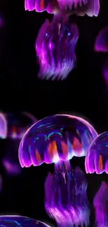 Vibrant purple jellyfish in dark ocean nightscape.