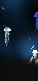 Glowing jellyfish against a dark blue ocean backdrop.