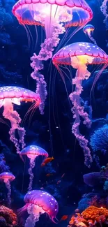 Vibrant jellyfish swim gracefully in a colorful ocean scene wallpaper.