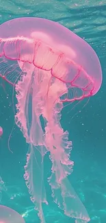 Vibrant jellyfish floating in turquoise ocean waters.