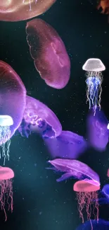 Colorful glowing jellyfish in deep blue ocean wallpaper.