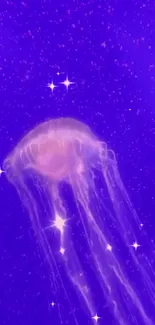 Glowing jellyfish in vibrant purple ocean depths wallpaper.