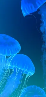 Vibrant blue jellyfish float gracefully in an underwater ocean scene.