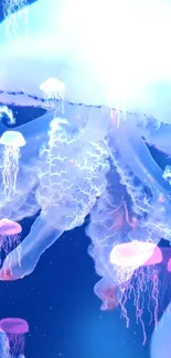 Vibrant jellyfish drifting in a glowing blue ocean scene.