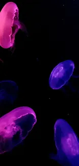 Vibrant neon jellyfish swimming in deep blue ocean hues.