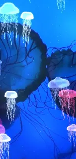 Vibrant luminous jellyfish floating in a deep blue ocean background.