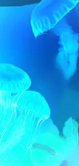 Vibrant jellyfish swimming in neon blue underwater scene.