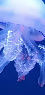 Vibrant jellyfish glowing underwater in a deep blue ocean scene.