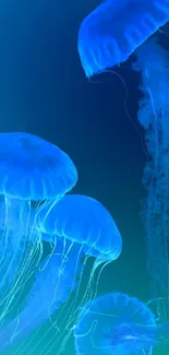 Glowing blue jellyfish floating in underwater ocean scenery.