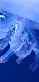 Glowing jellyfish under deep blue ocean.