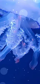 Glowing jellyfish against a deep blue background.