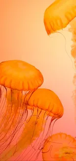 Vibrant orange jellyfish with flowing tentacles against a soft background.