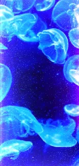 A vibrant mobile wallpaper featuring glowing jellyfish in a deep blue ocean scene.