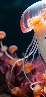 Vibrant jellyfish with glowing tentacles in ocean scene.