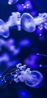 Vibrant purple jellyfish floating in a serene underwater scene.