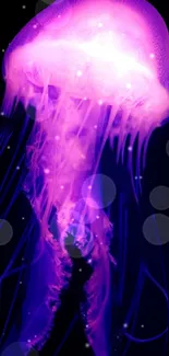 Captivating purple jellyfish glowing underwater in the dark sea background.