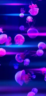 Vibrant jellyfish mobile phone wallpaper featuring blue and magenta colors.