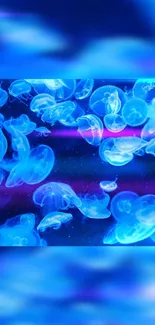 Vibrant jellyfish floating in a neon blue ocean, creating a stunning underwater view.