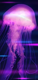 Purple jellyfish glowing in dark ocean background wallpaper.