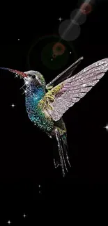 Vibrant jewel-like hummingbird on black background.