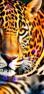 Colorful leopard with stars in jungle art wallpaper.