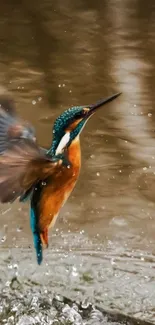 Kingfisher bird flying over water with droplets in mid-air.