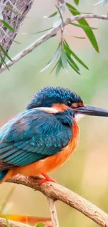 Vibrant kingfisher perched on a branch with green background.