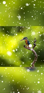 Kingfisher on branch with green background and snow effect.