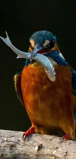 Kingfisher with fish on a branch, vibrant colors.