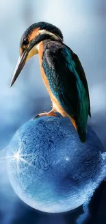 Kingfisher perched on an icy globe with a vibrant blue background.