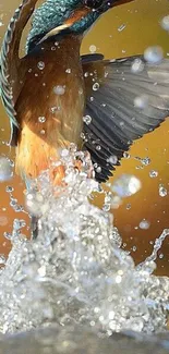 Kingfisher diving, creating a vibrant water splash.