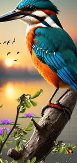 Vibrant kingfisher perched at sunset with colorful background.