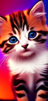 Cute kitten with orange and blue vibrant background.