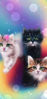 Three colorful kittens with vibrant, rainbow background in a fantasy wallpaper.