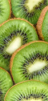 Close-up of vibrant green kiwi fruit slices.