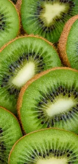 Close-up of green kiwi slices forming a textured background.