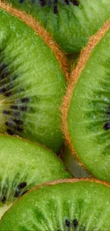 Close-up of vibrant green kiwi fruit slices wallpaper.