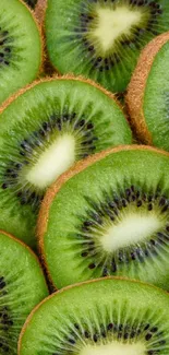 Close-up of vibrant kiwi slices forming a natural pattern background.