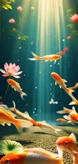 Koi fish swimming with lotus flowers in a serene pond.