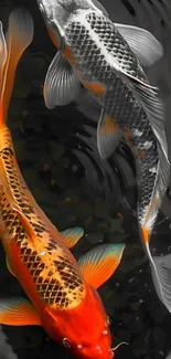 Colorful koi fish swimming in a serene pond.
